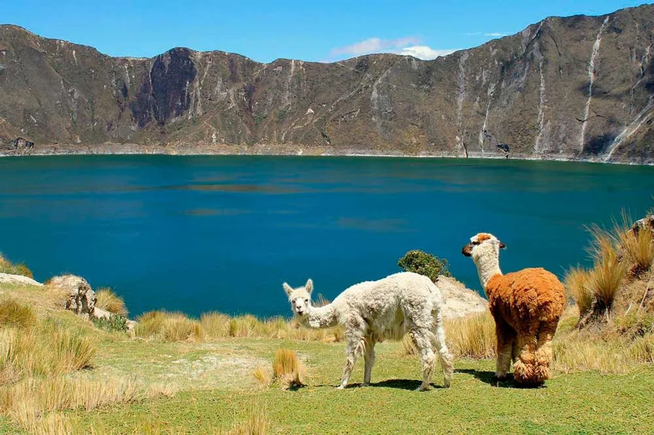 viajar a Ecuador ¿qué se necesita?