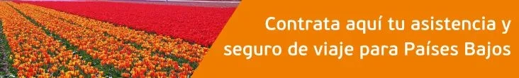 asistencia de viaje Países Bajos
