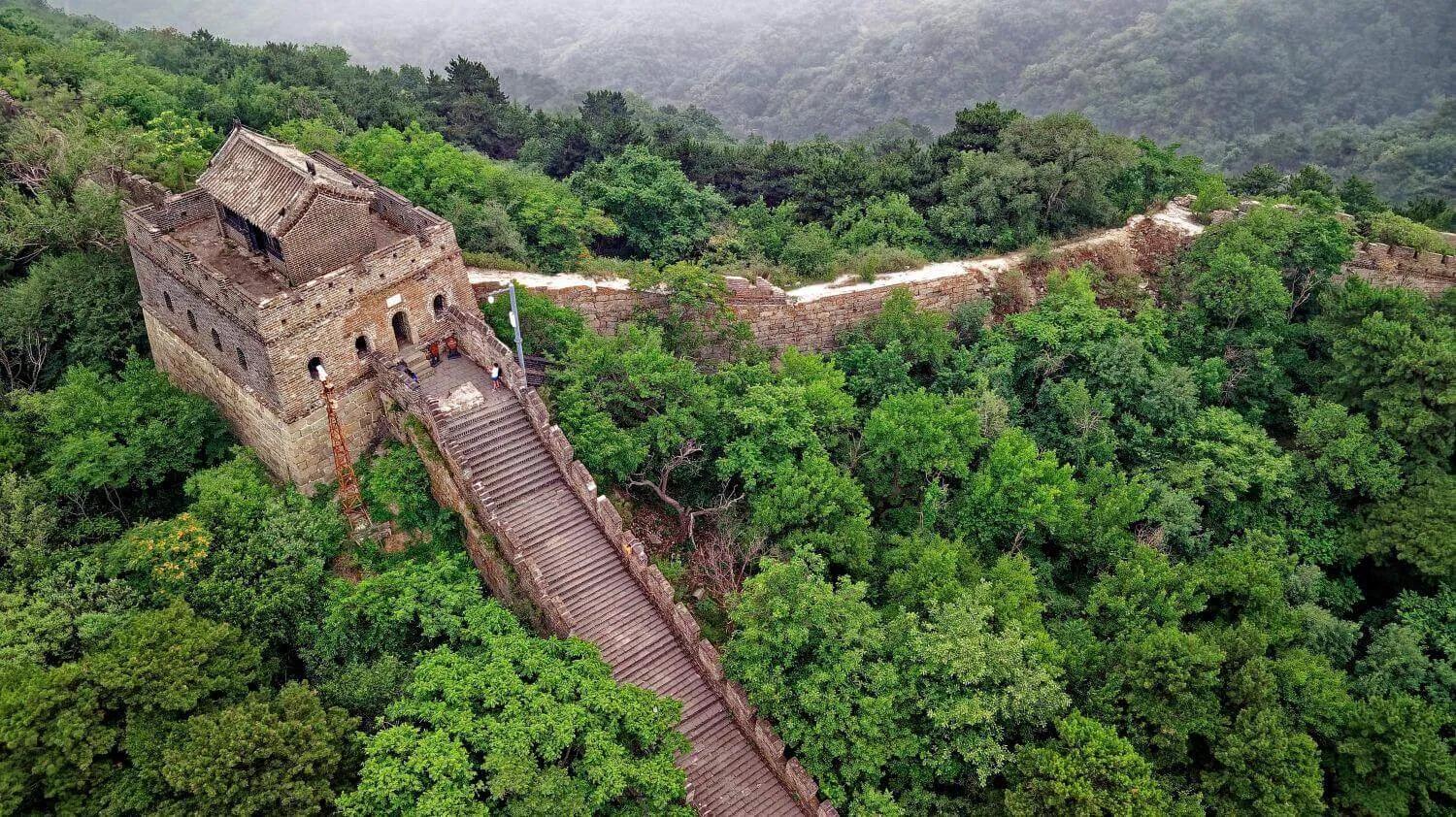 Muralha da China cercada por vegetação, destacando sua estrutura histórica e paisagem natural.