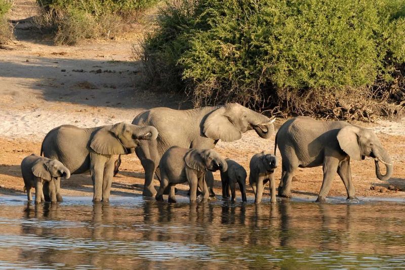 Asistencia y seguro de viaje a Botswana