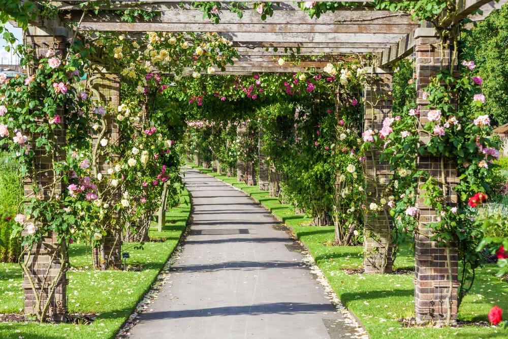 real jardim botanico de londres