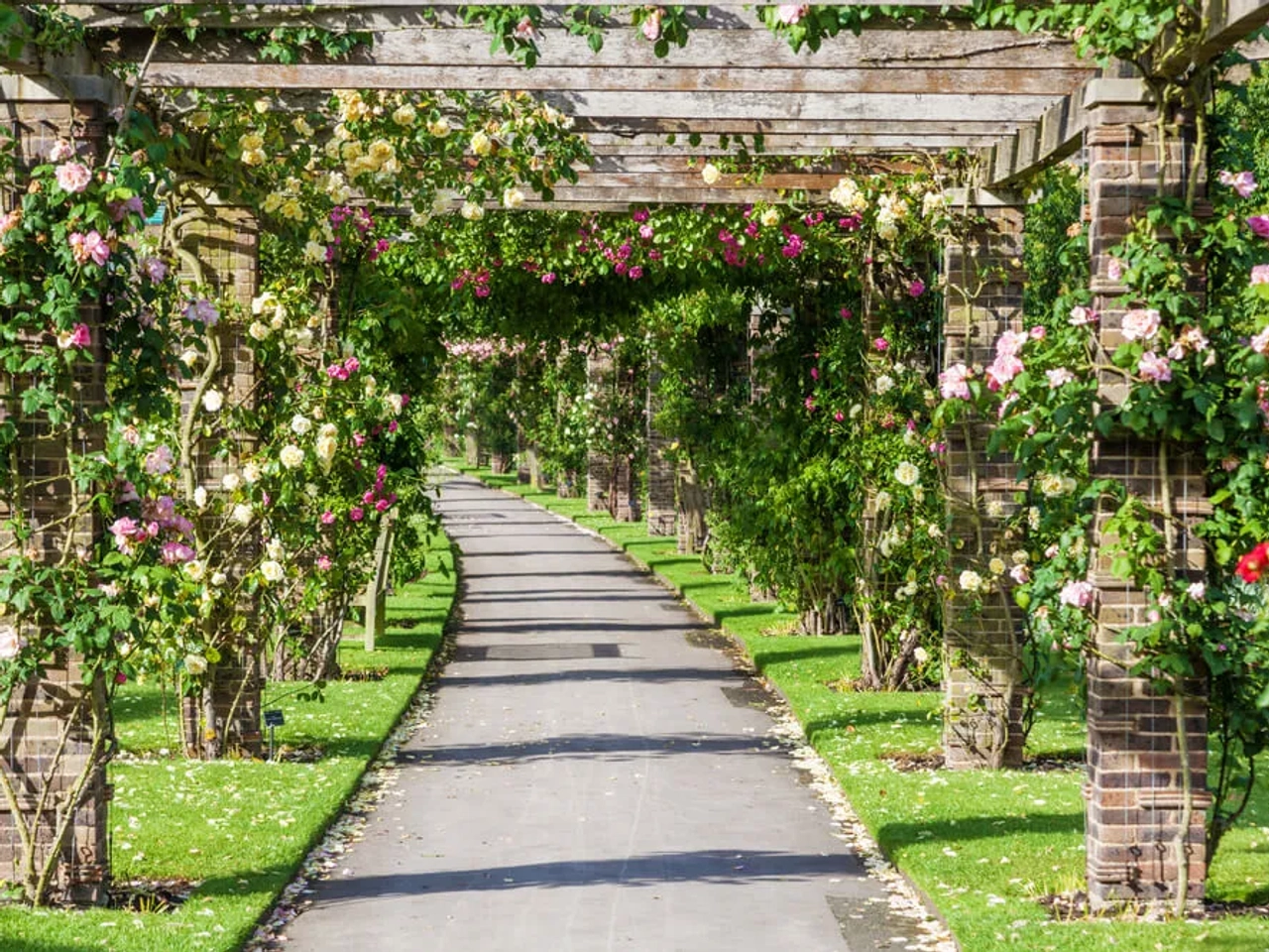 real jardim botanico de londres