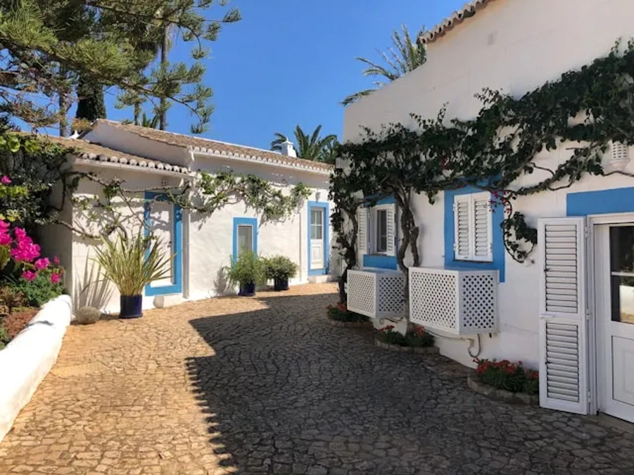 casas azuis e brancas no algarve com flores cor de rosa faro