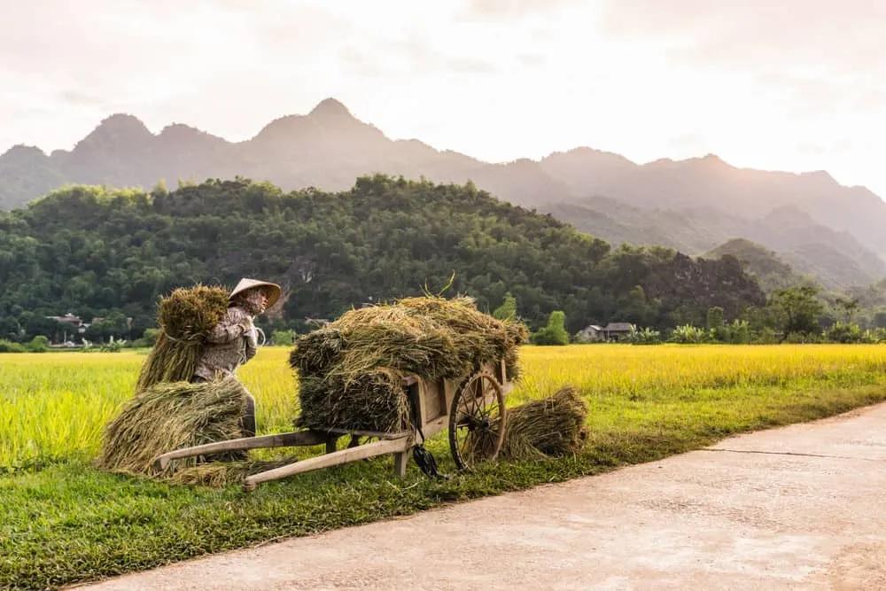 ruta en bicicleta por Vietnam