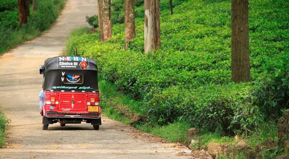 itinerario Sri Lanka