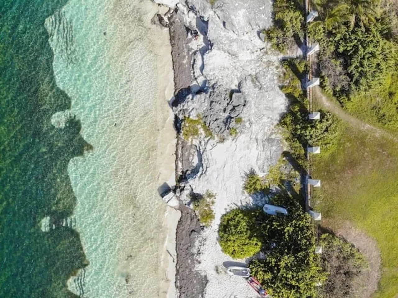 praia com agua azul clara e palmeiras no México, Cancún