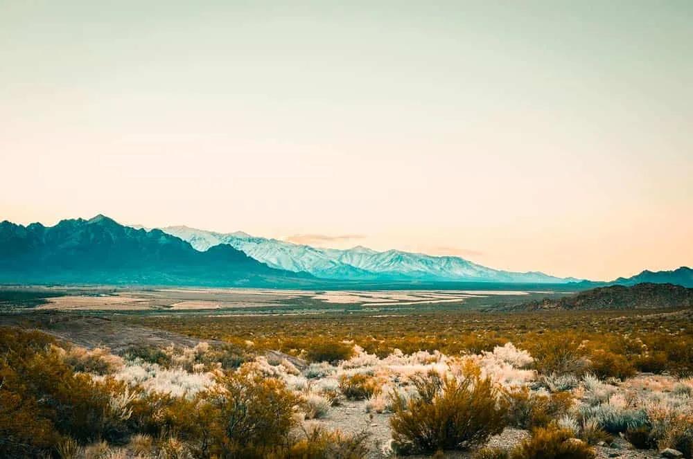 Mendoza, Argentina: tierra de vinos