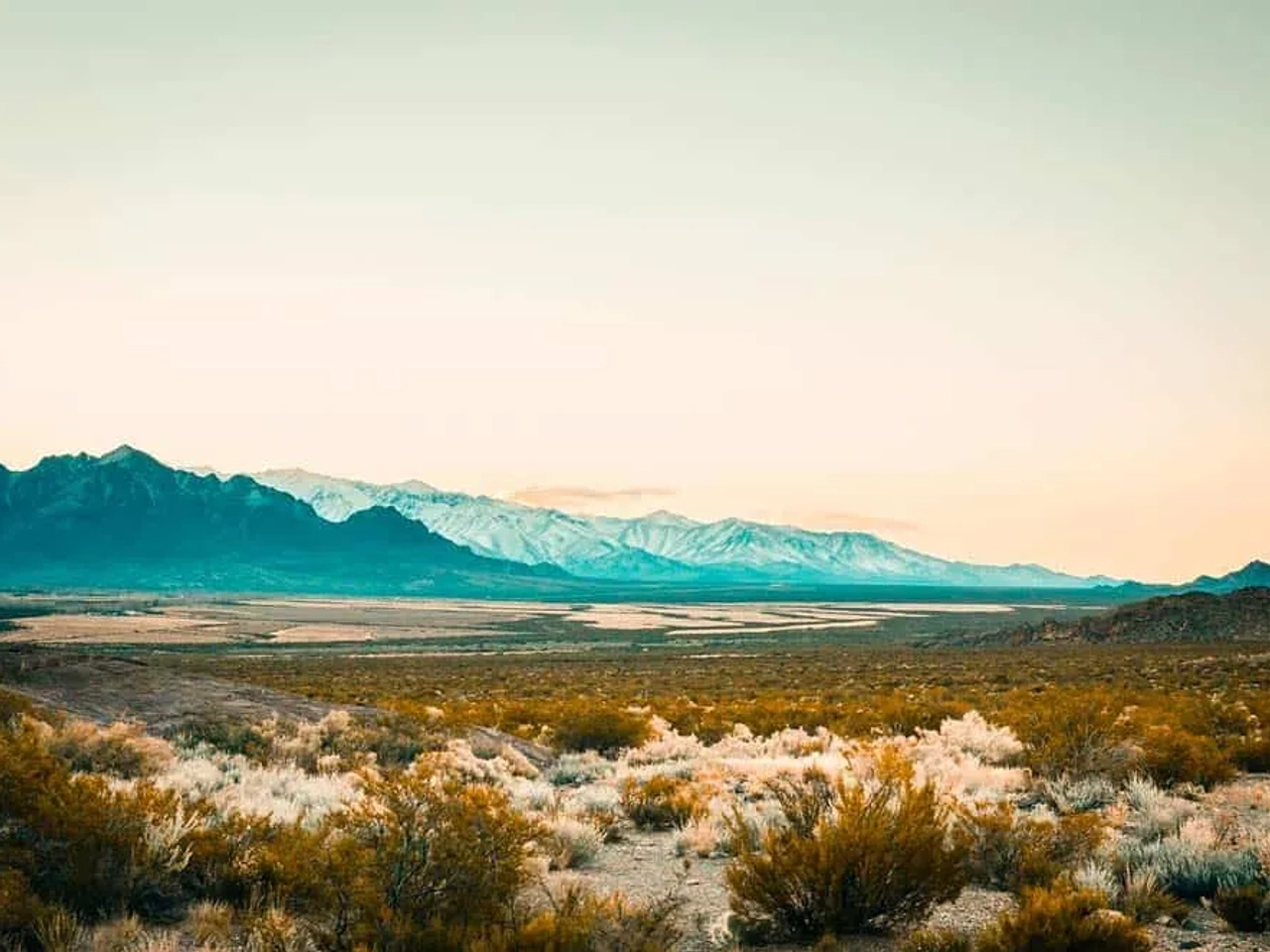 Mendoza, Argentina: tierra de vinos