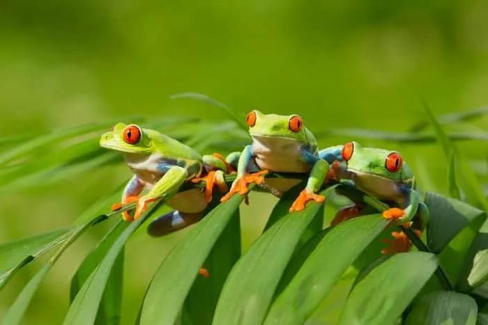 Visitar Teotihuacán, la ciudad de los dioses