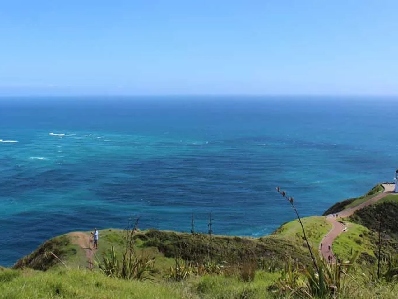 Qué hacer en Nueva Zelanda