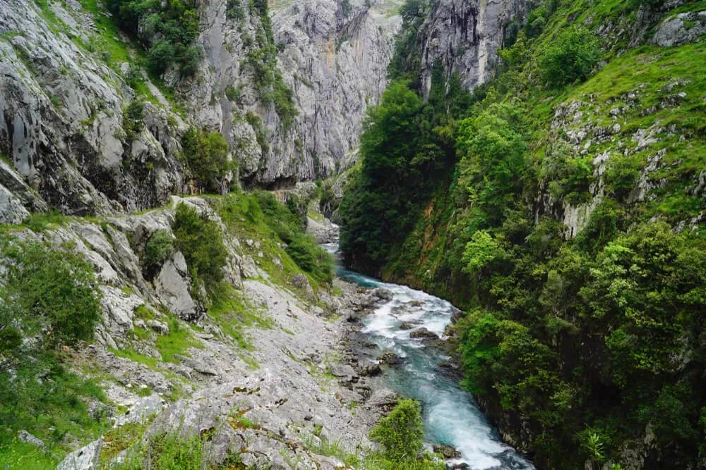 parte do trilho da ruta del cares com vegetação e o rio cares
