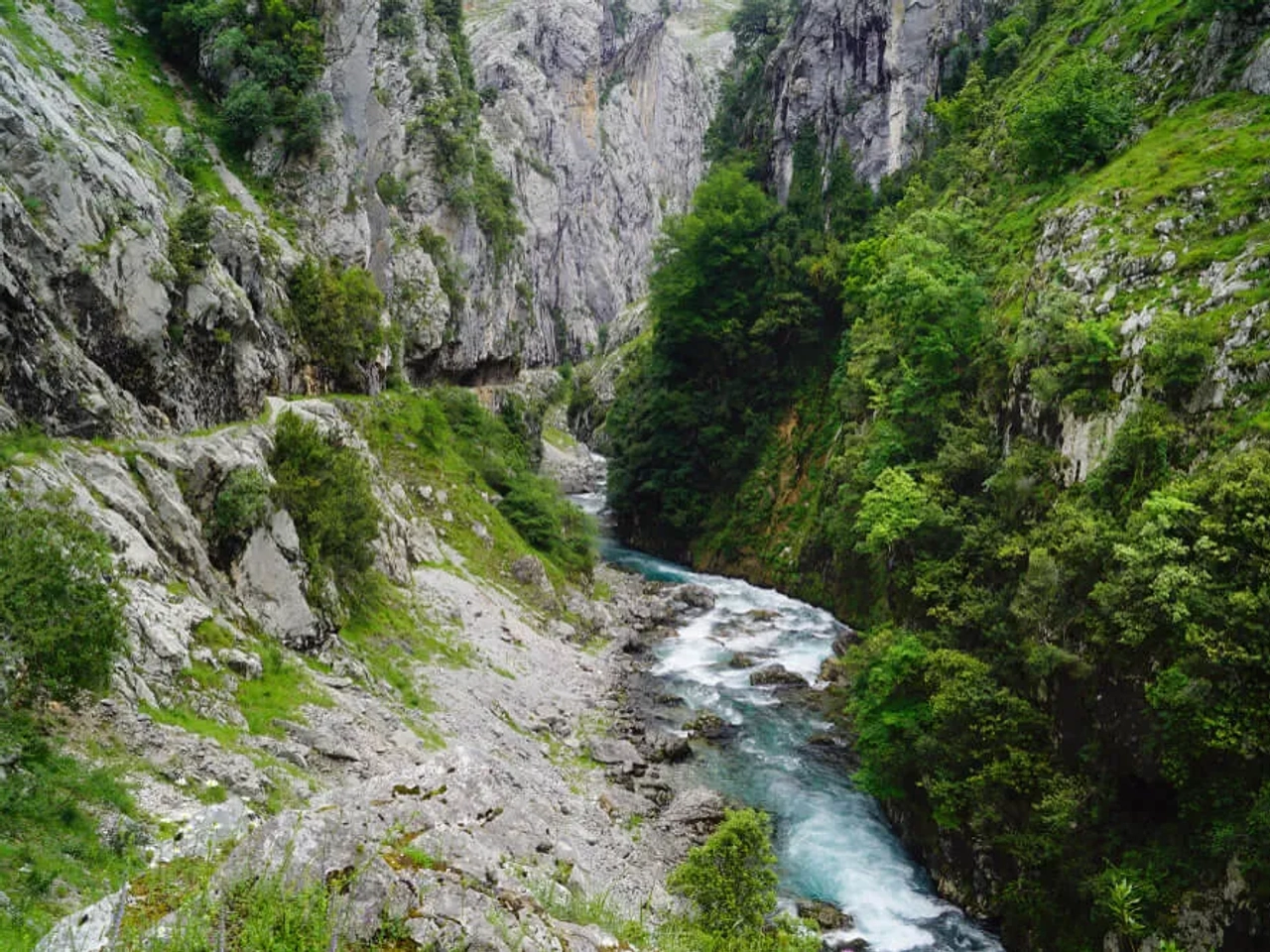 parte do trilho da ruta del cares com vegetação e o rio cares