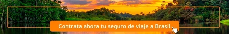 seguro de viaje a Brasil