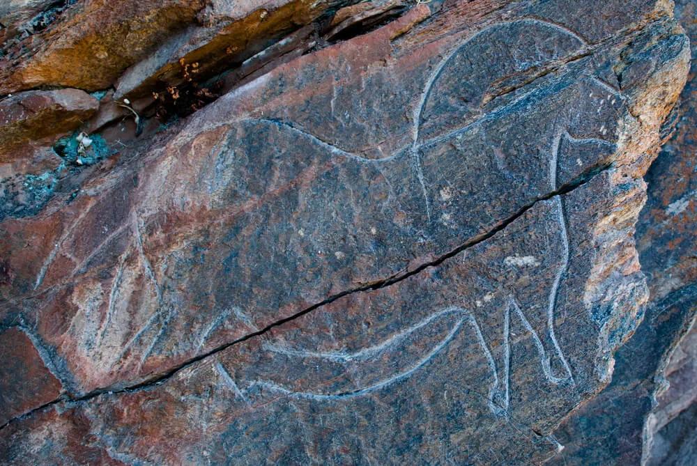 gravura rupestre de um cavalo