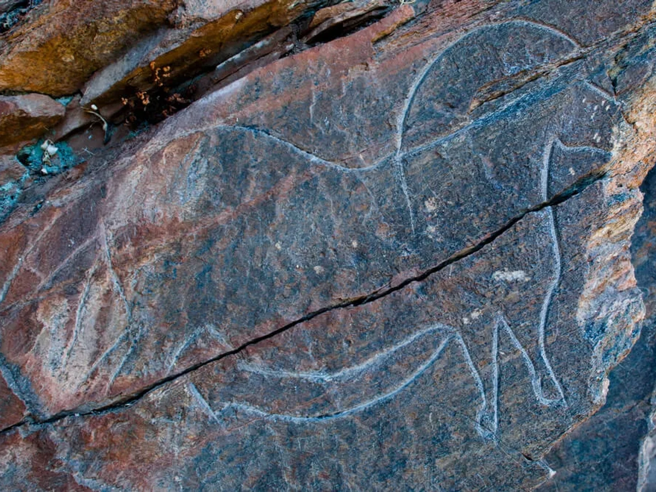 gravura rupestre de um cavalo