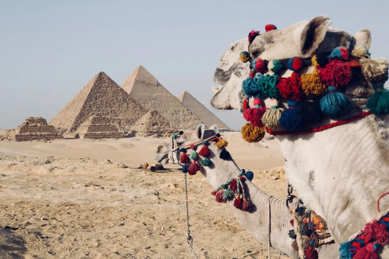 Travel Insurance for Egypt