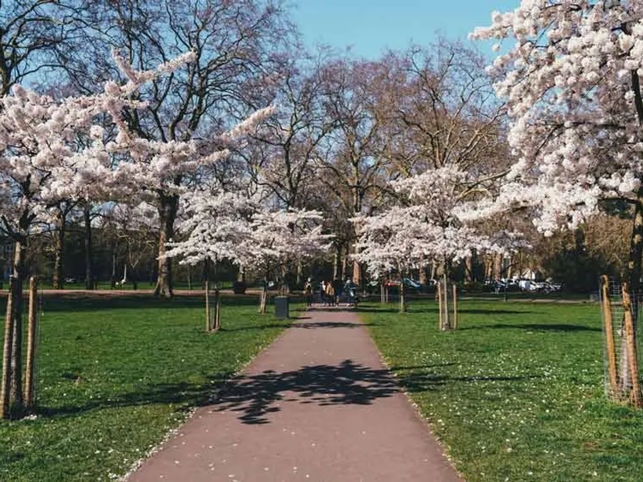 Mejor época para viajar a Londres