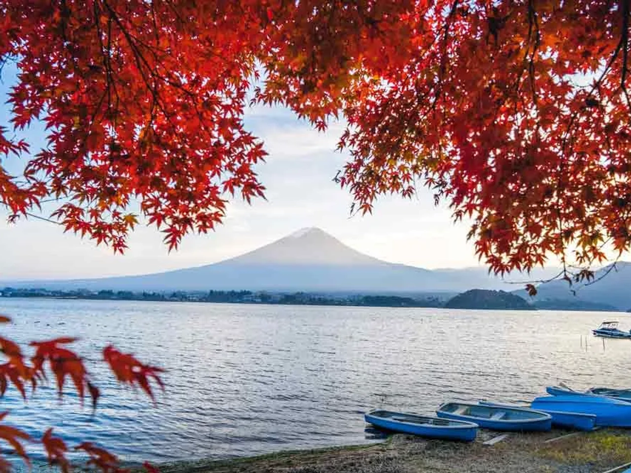 Japón en otoño