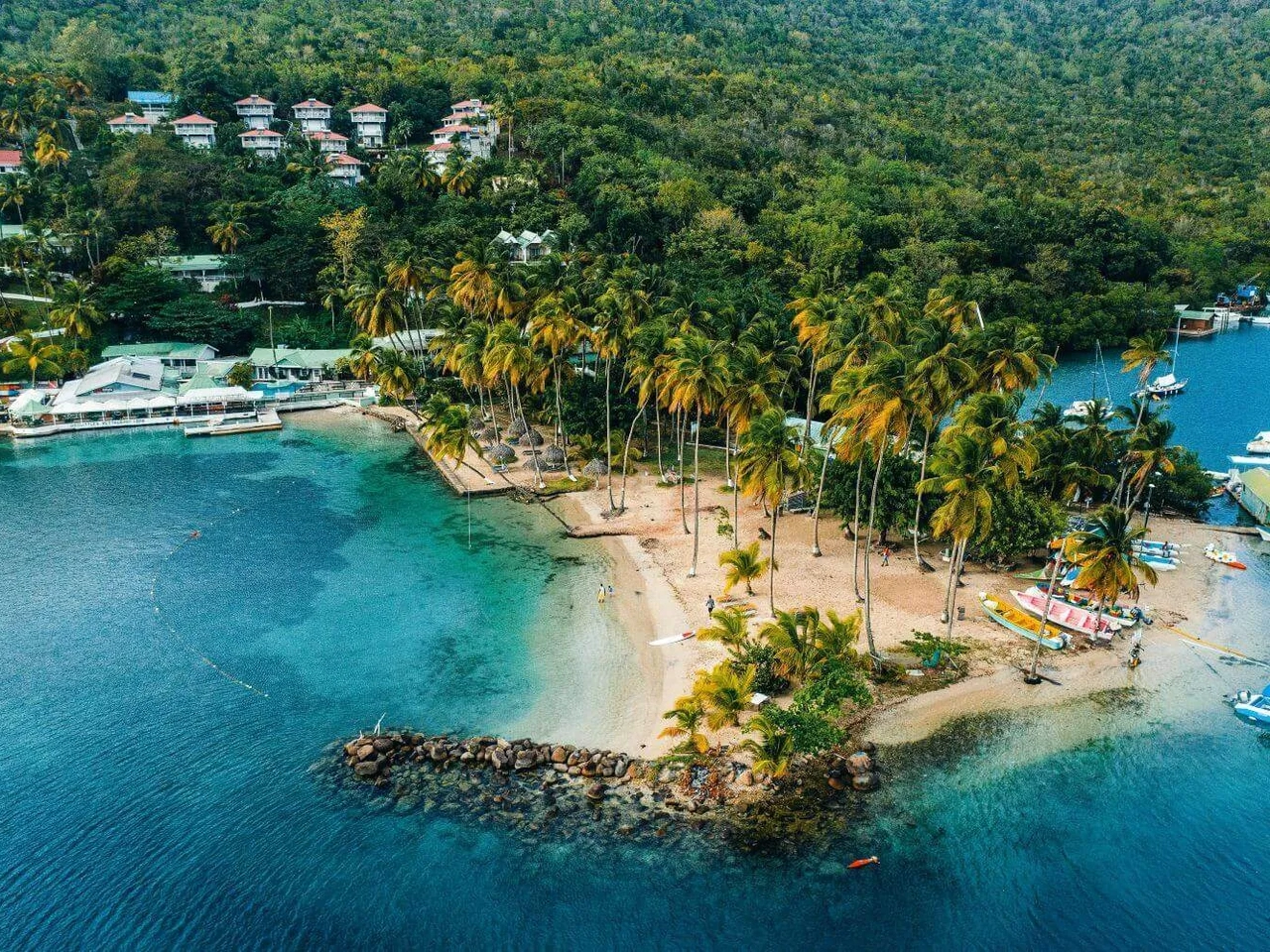 Praia paradisíaca com palmeiras, águas cristalinas e barcos ancorados. Ideal para cruzeiros.