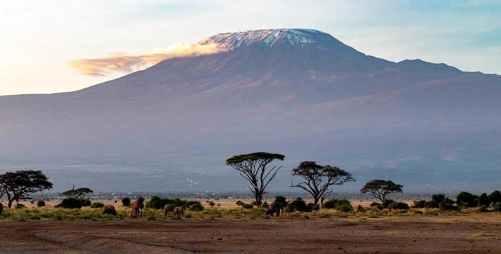 Visado para viajar a Kenia, guía paso a paso