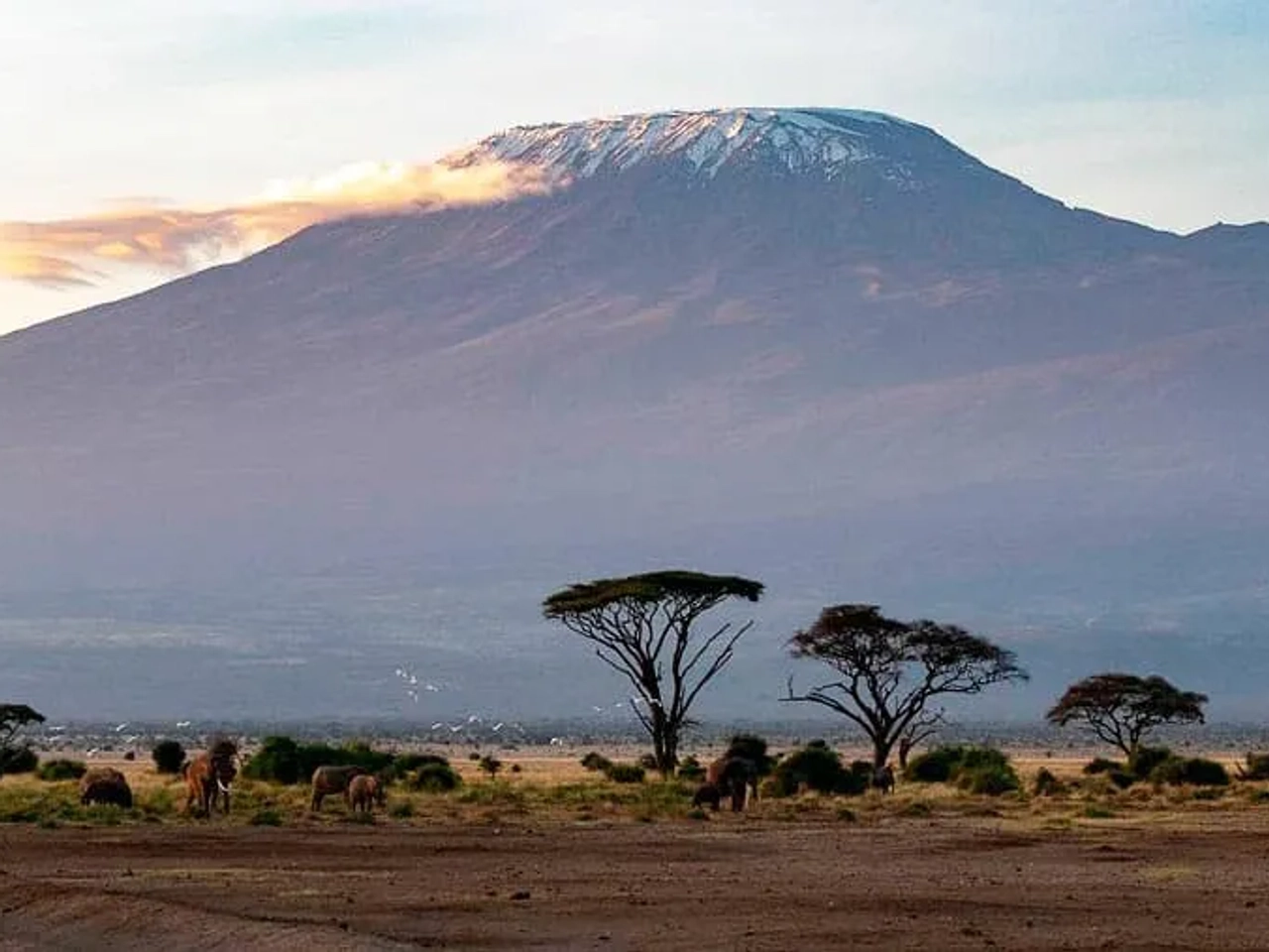 Visado para viajar a Kenia, guía paso a paso