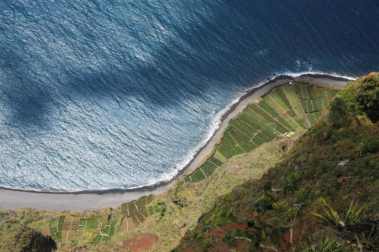 Vista aérea da costa da Ilha da Madeira, com plantações e mar azul.