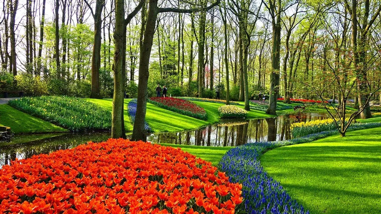 Keukenhof jardim Amesterdão