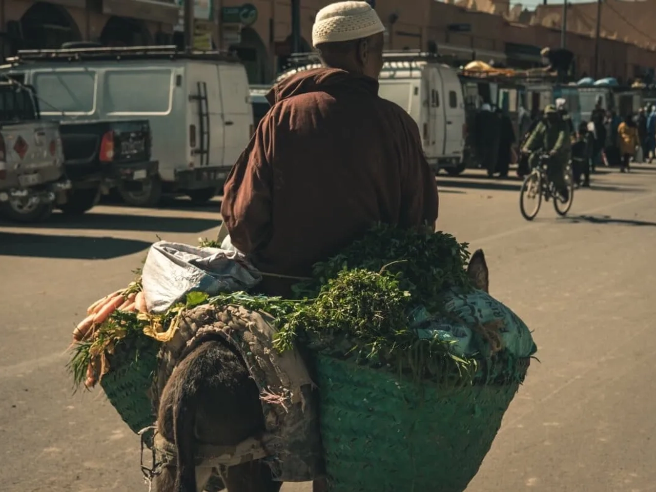 burro carregada no mercado de rissani