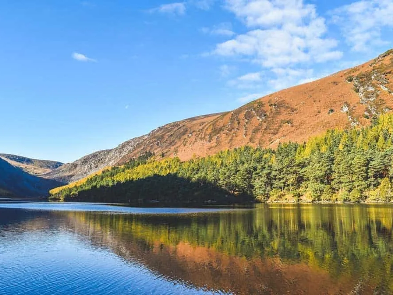 Phoenix Park, Irlanda