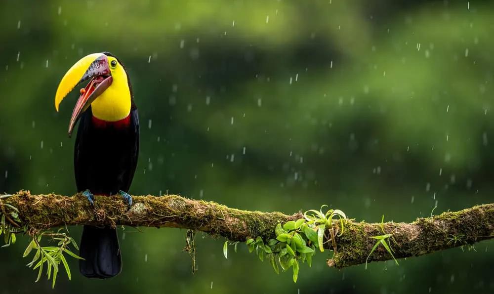 Seguro de viaje a Costa Rica