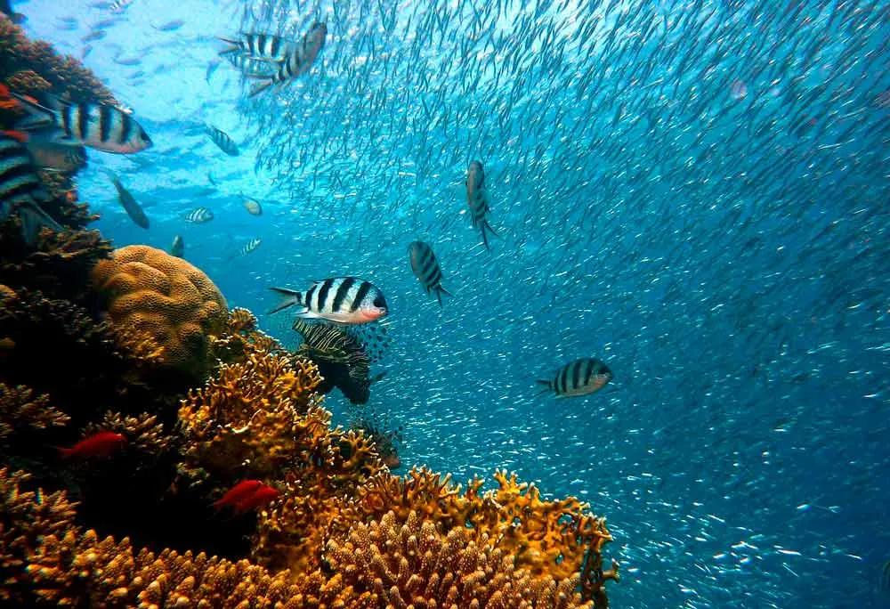 parque marino de Terengganu