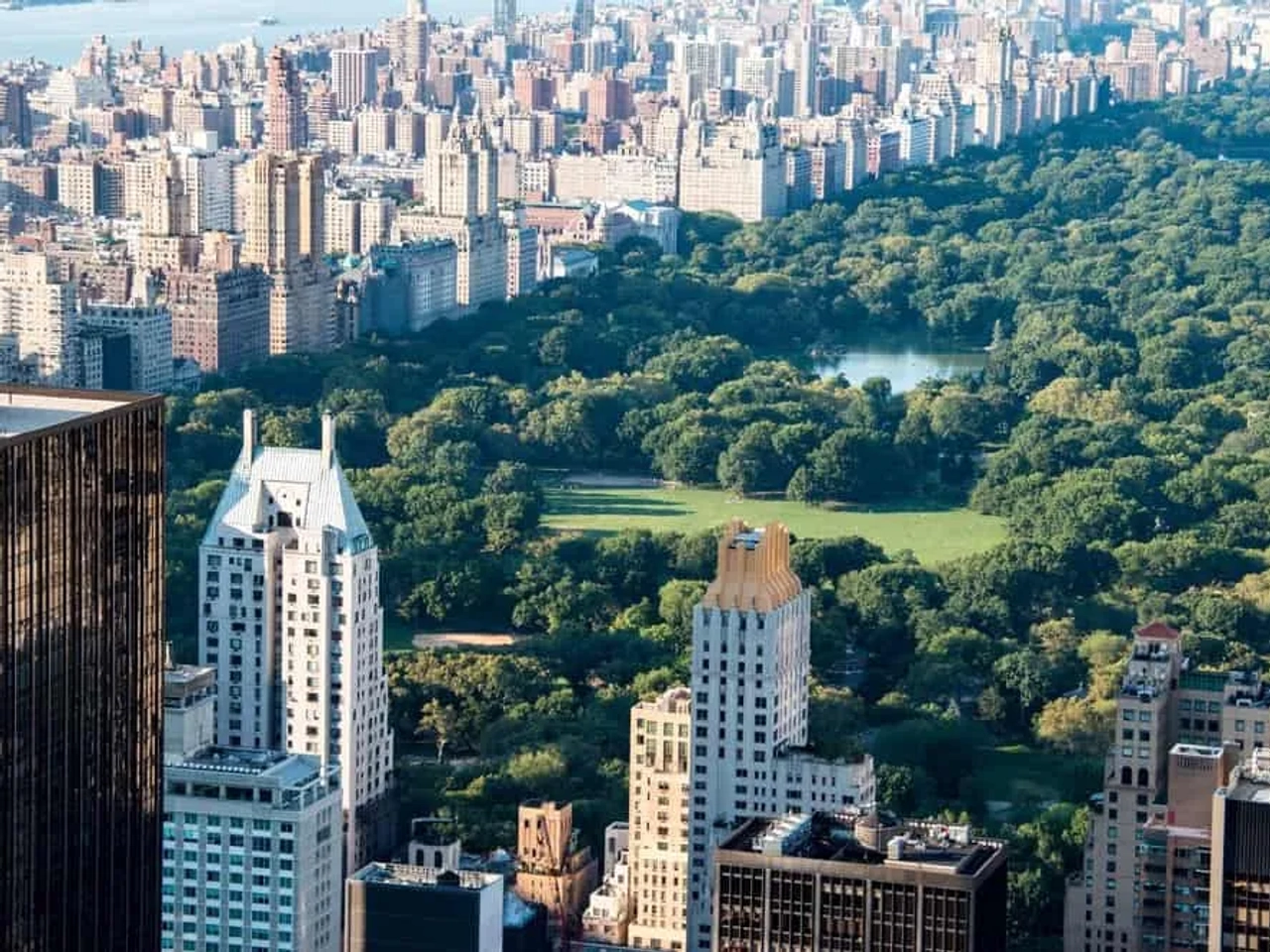mirador Top of the Rock, vistas a Central Park