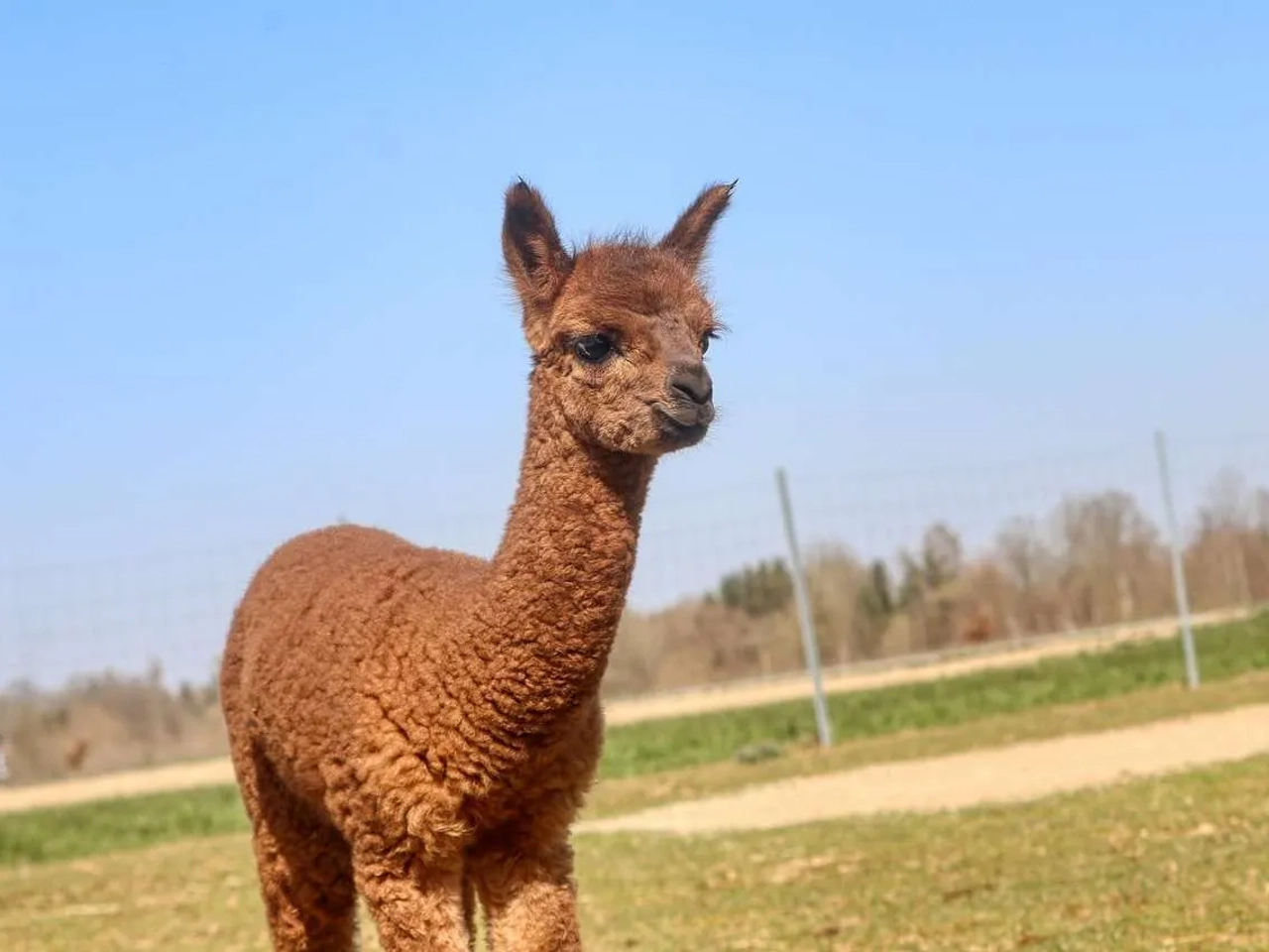 mejor época para visitar el Valle Sagrado