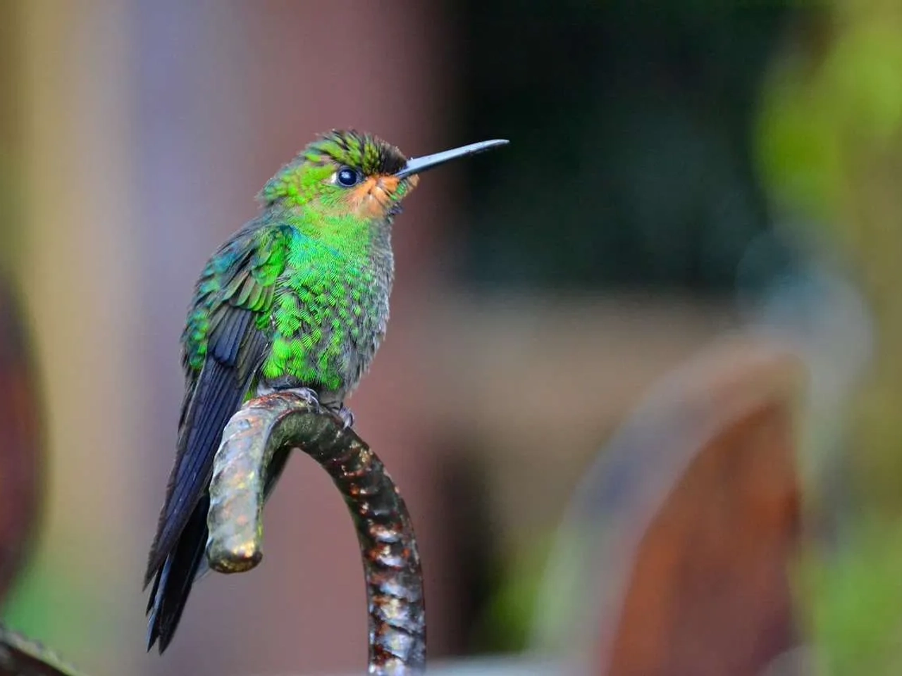 viajar sola como mujer a Costa Rica