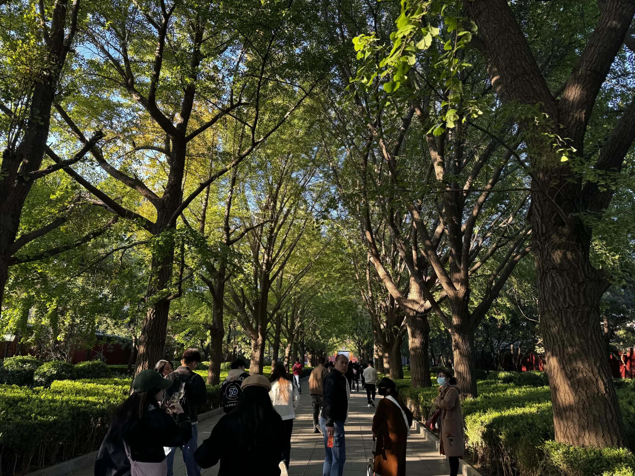 Las 4 mejores zonas donde alojarse en Pekín: hoteles y mapa