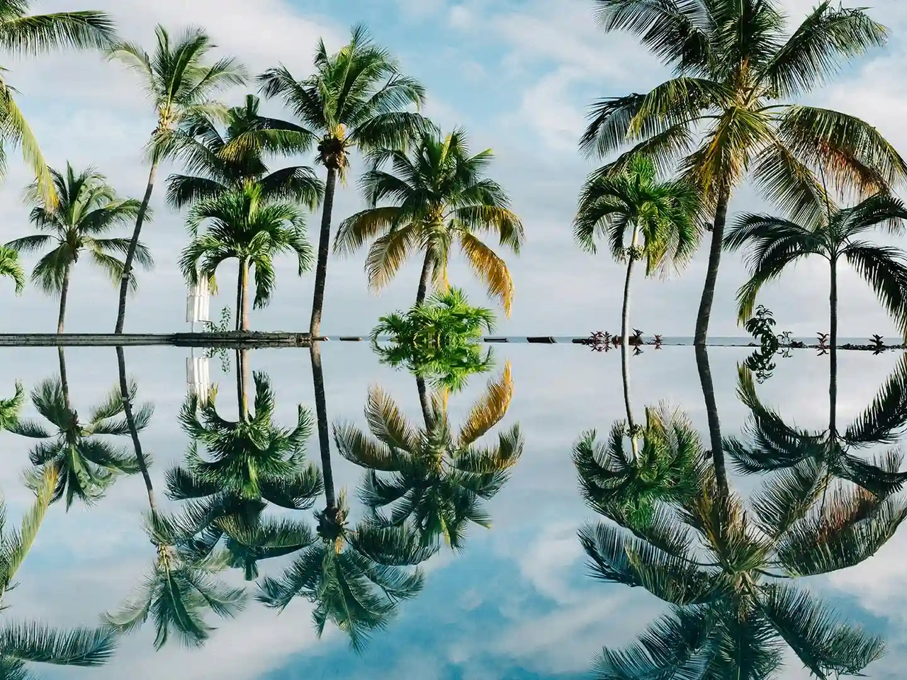 palmeras reflejadas en el agua de una piscina en mauricio