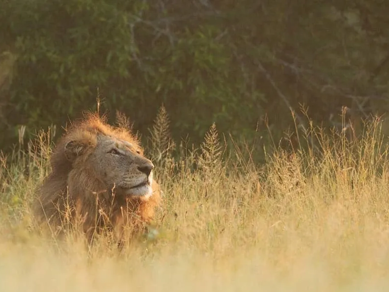 mejor época para el Parque Kruger
