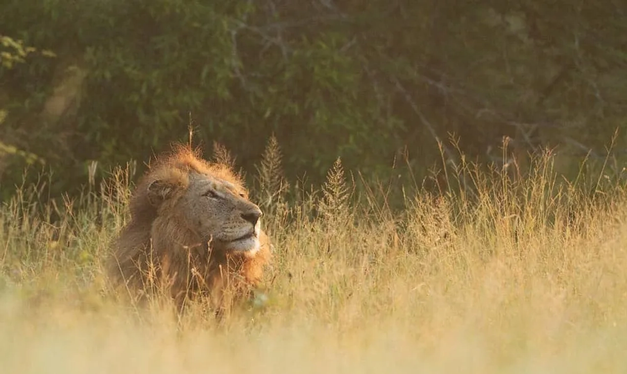 mejor época para el Parque Kruger