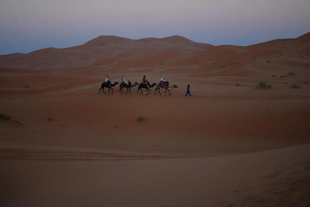 caravana de camelos no sahara