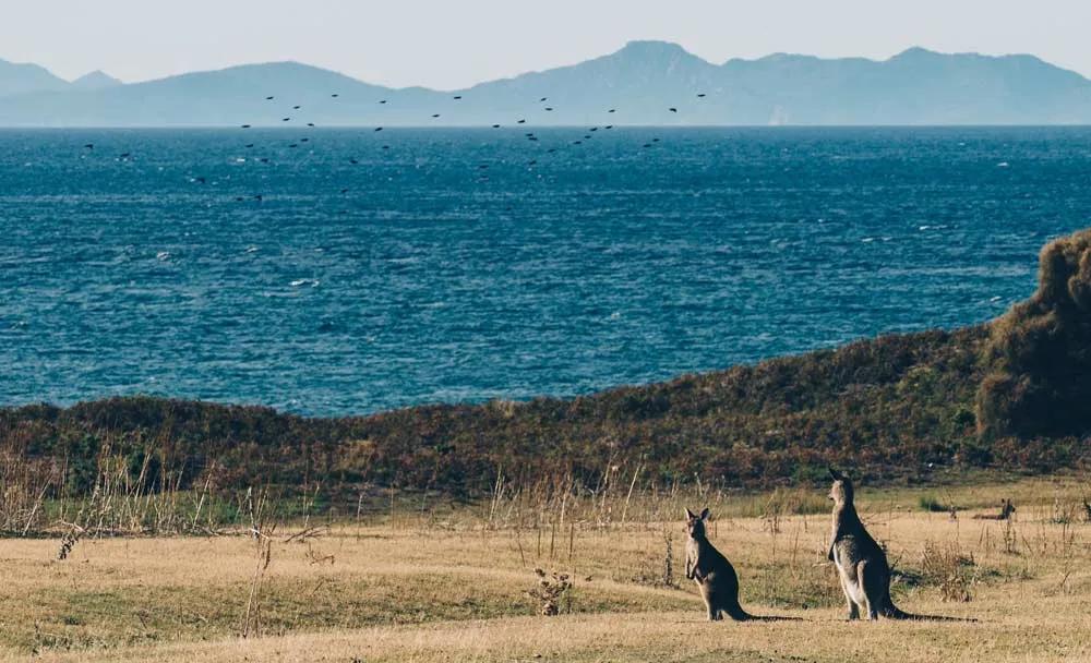 sitios turísticos en Australia