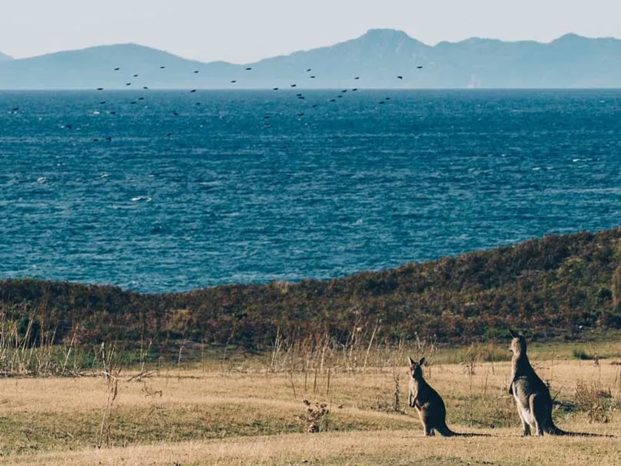 sitios turísticos en Australia
