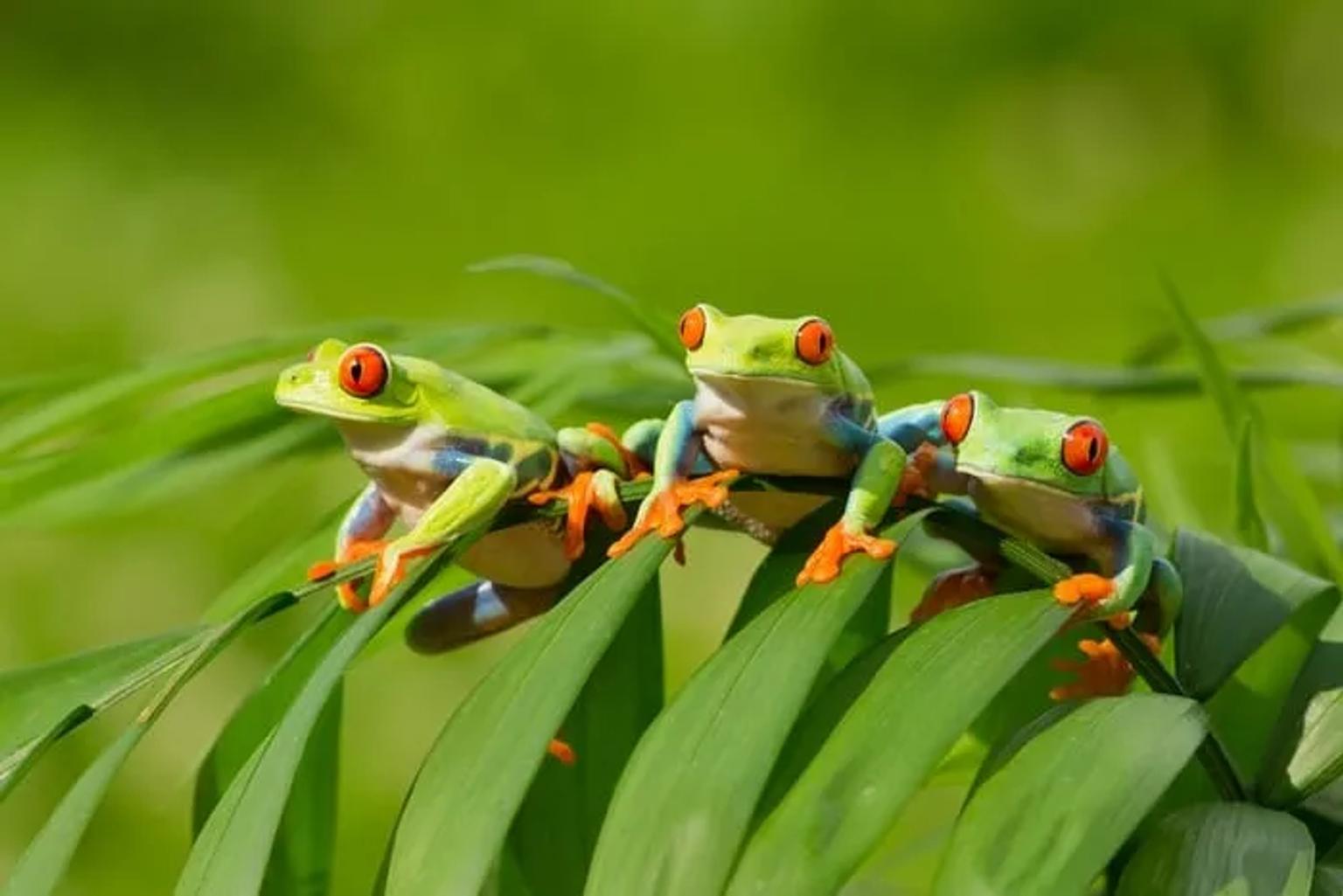 seguro de viaje a Costa Rica
