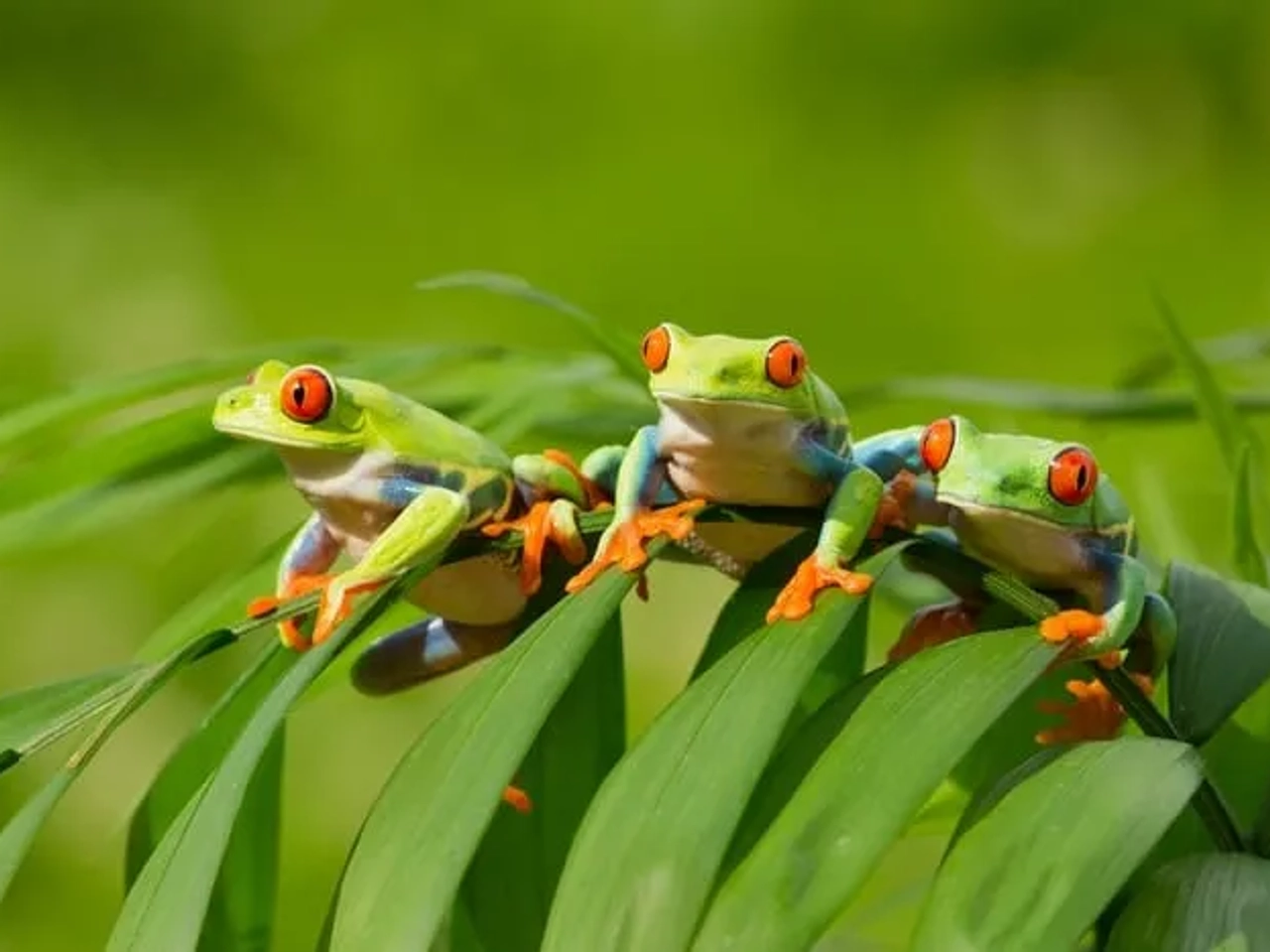 seguro de viaje a Costa Rica