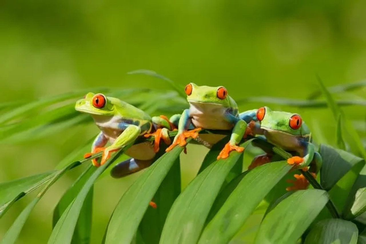 seguro de viaje a Costa Rica