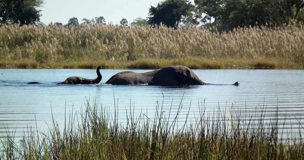 cruzar a Botsuana desde Namibia