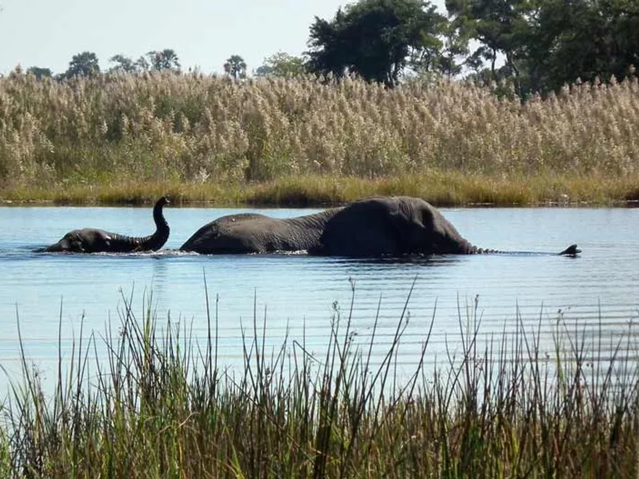 cruzar a Botsuana desde Namibia