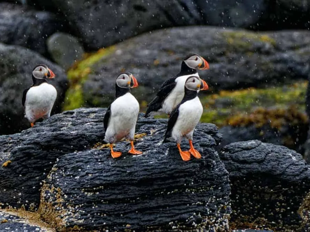 Podcast: Viajar a Islandia