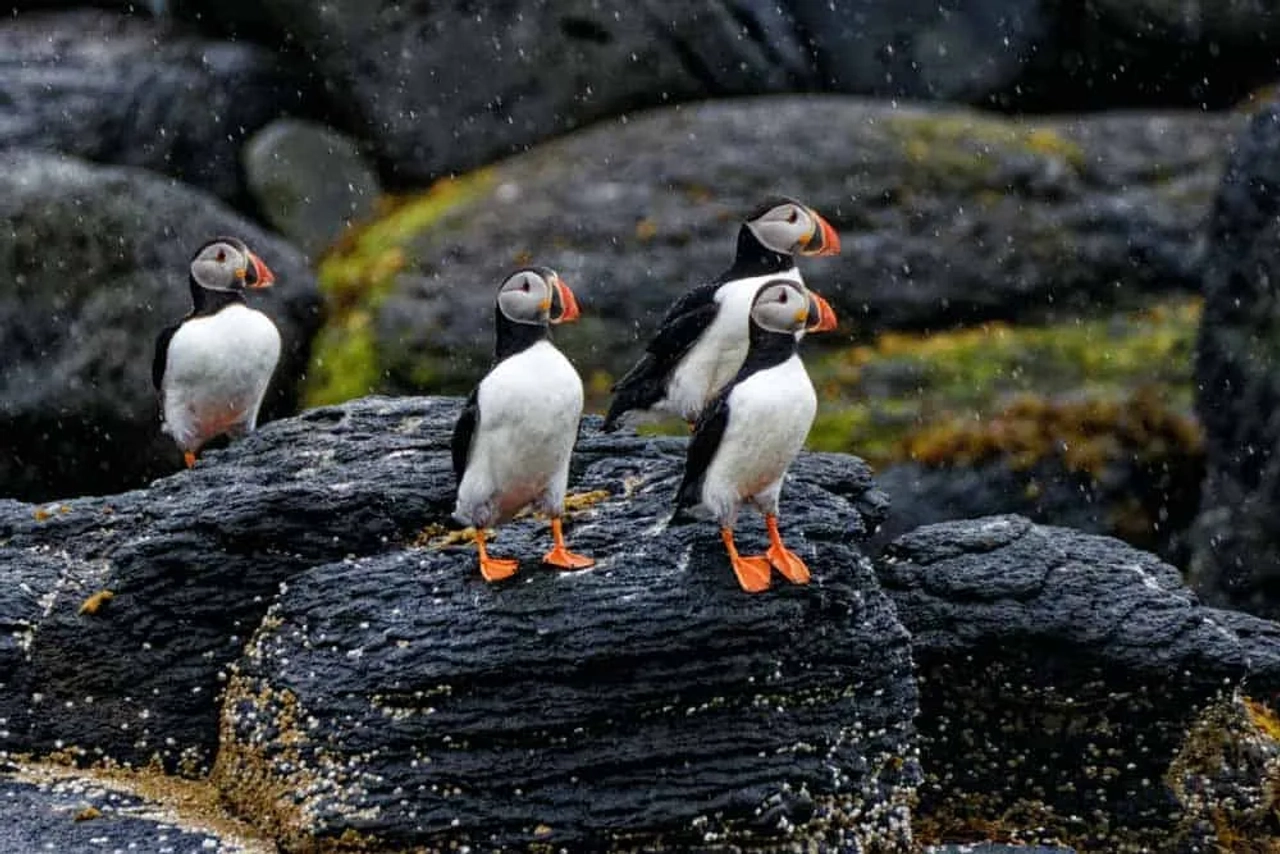 Podcast: Viajar a Islandia
