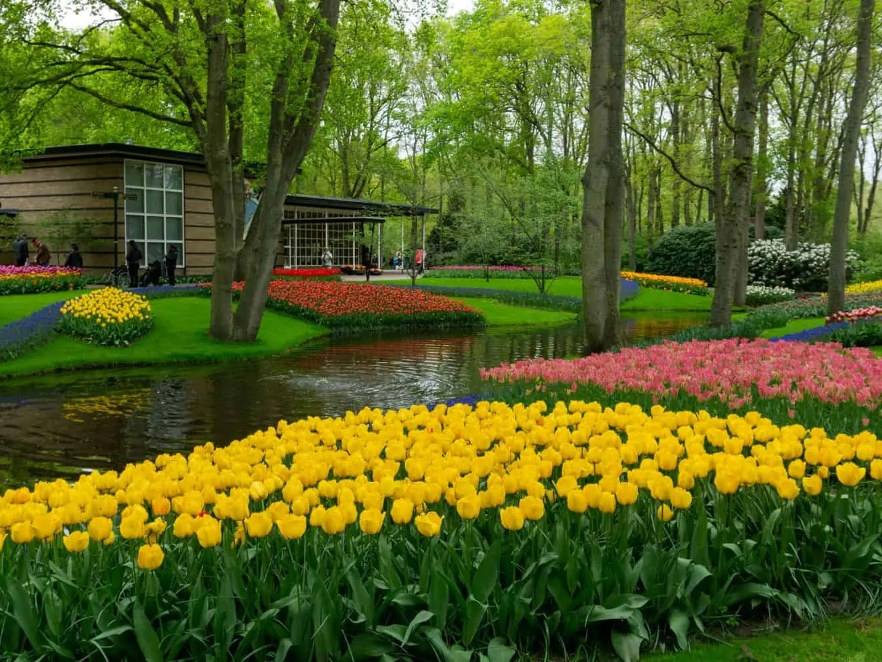 jardim com tulipas em amesterdao