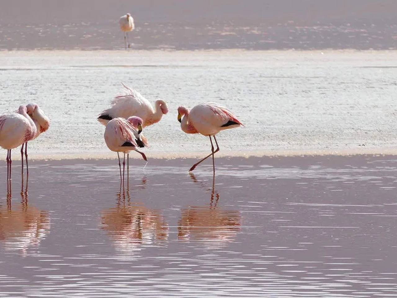 que hacer en Salar de Uyuni